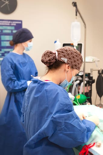 Dvě veterinární lékařky ve sterilních pláštích při operaci